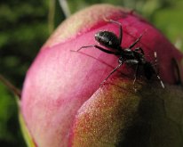 IMG_1063
