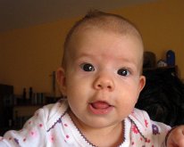 IMG_3337