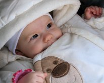 IMG_4424 Huncutka