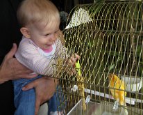 IMG_0830 A