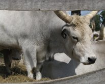 IMG_5089