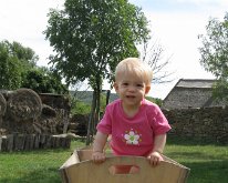 IMG_5106