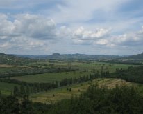 IMG_5123