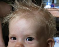 IMG_1170