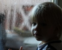 IMG_0354