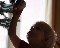 IMG_0359 zsákmány