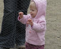 IMG_5917