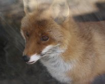 IMG_5491