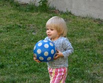 IMG_6690 labdaszedő