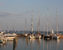 IMG_7867