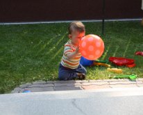 IMG_6774