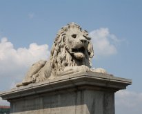 IMG_7338