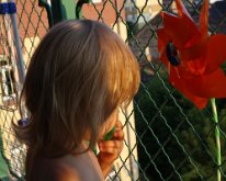 IMG_7374