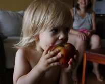 IMG_7381