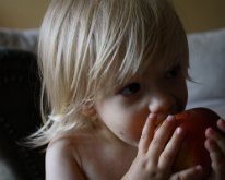 IMG_7386