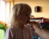 IMG_0260