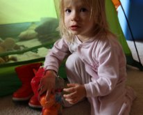 IMG_0265