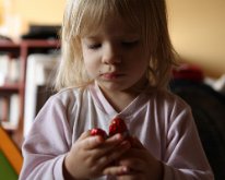 IMG_0267