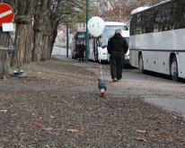 IMG_0282
