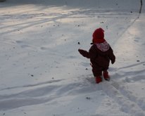 IMG_0313