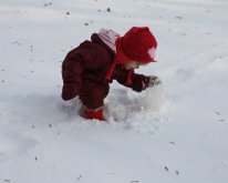 IMG_0315