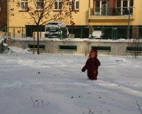 IMG_0317