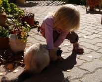 IMG_8847