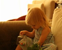 IMG_8953