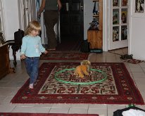IMG_3287