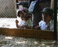 IMG_3335