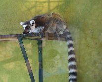 IMG_3351