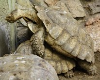 IMG_3360
