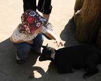 IMG_3390