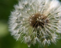 IMG_3066