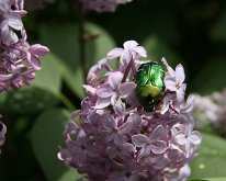 IMG_3083