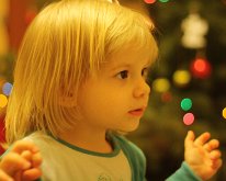 IMG_0737
