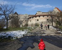 IMG_2381