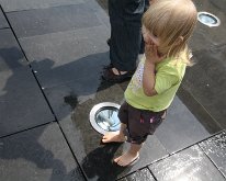 IMG_2977