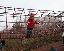 IMG_2498
