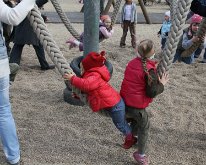 IMG_2500