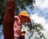 IMG_3449