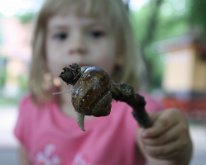 IMG_3464