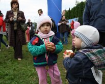 IMG_5262