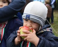 IMG_5263